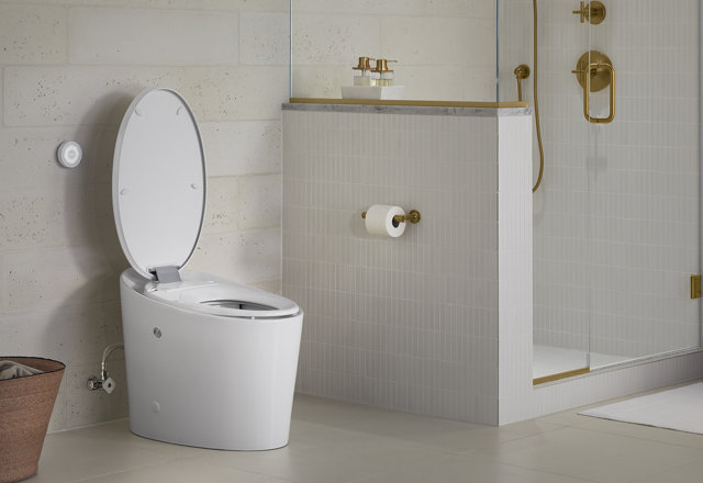 Top One-Piece Toilets